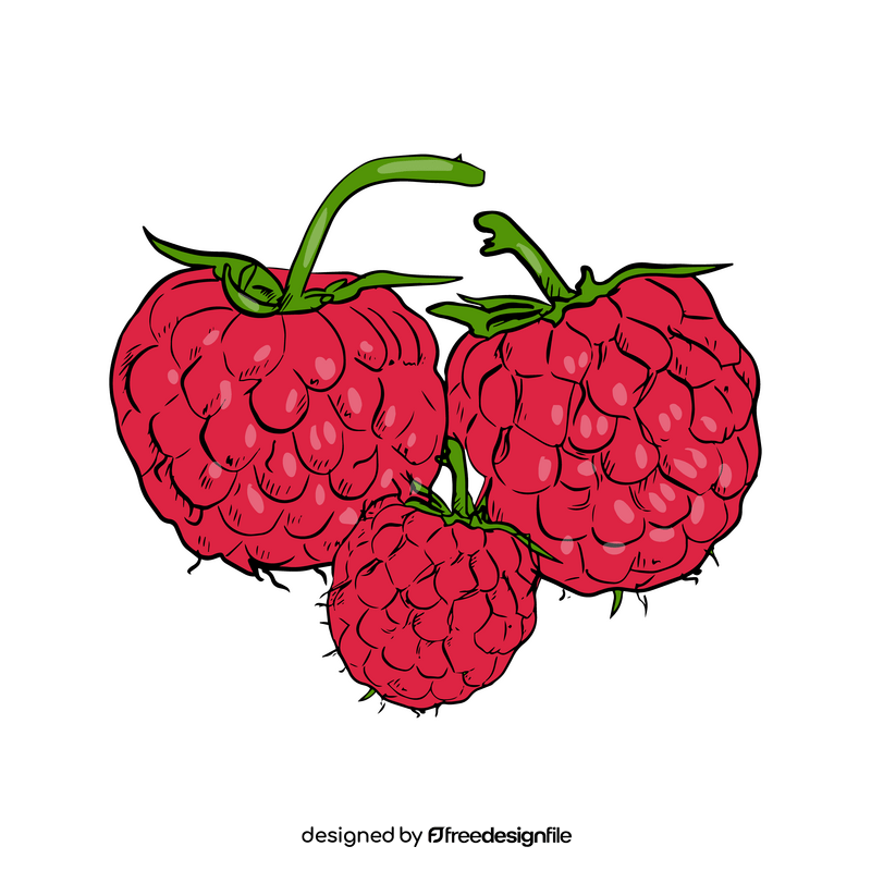 Raspberry clipart