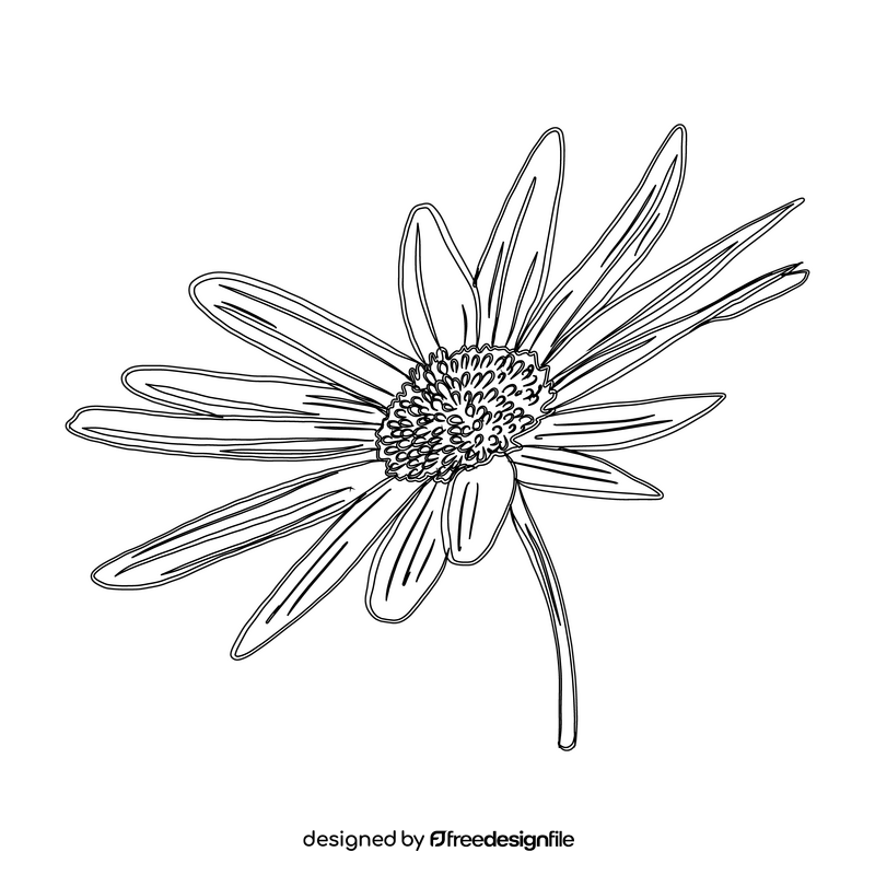 Chamomile black and white clipart