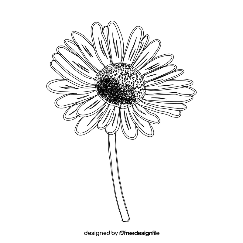 Chamomile black and white clipart