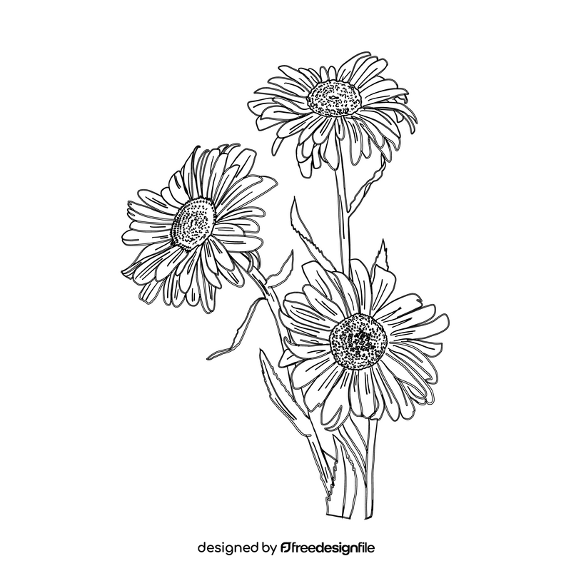 Chamomile black and white clipart