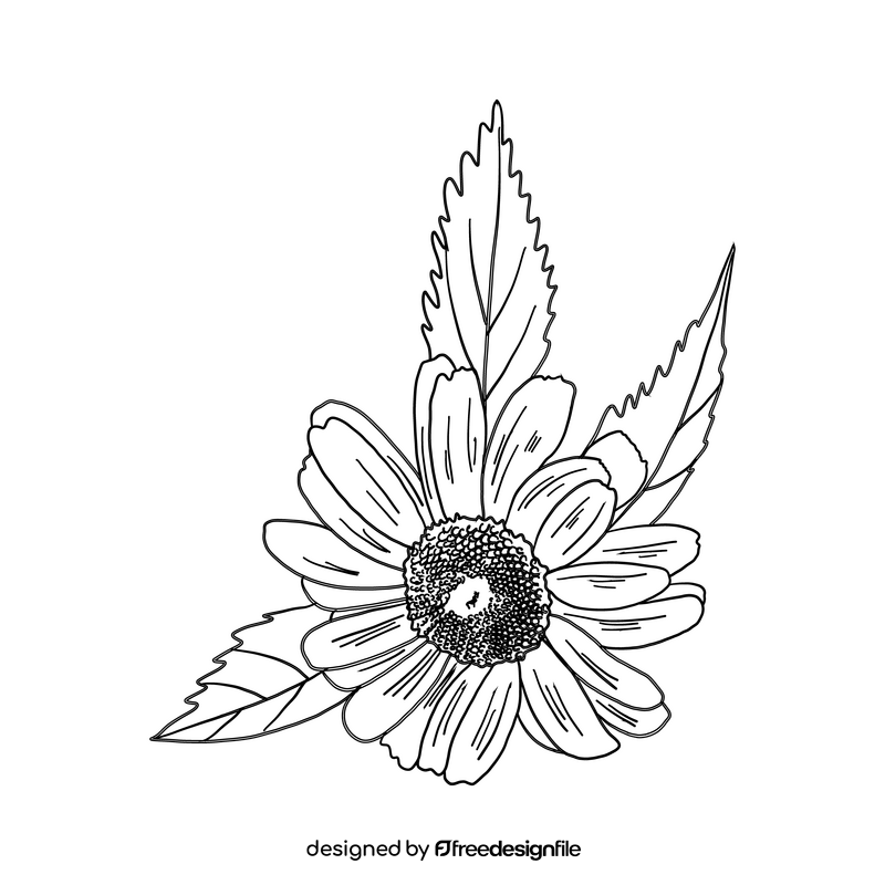 Chamomile black and white clipart