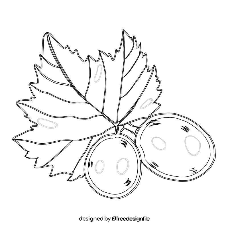 Two Grapes black and white clipart