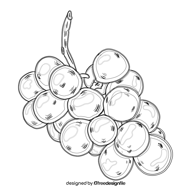 Bunch of Grapes black and white clipart