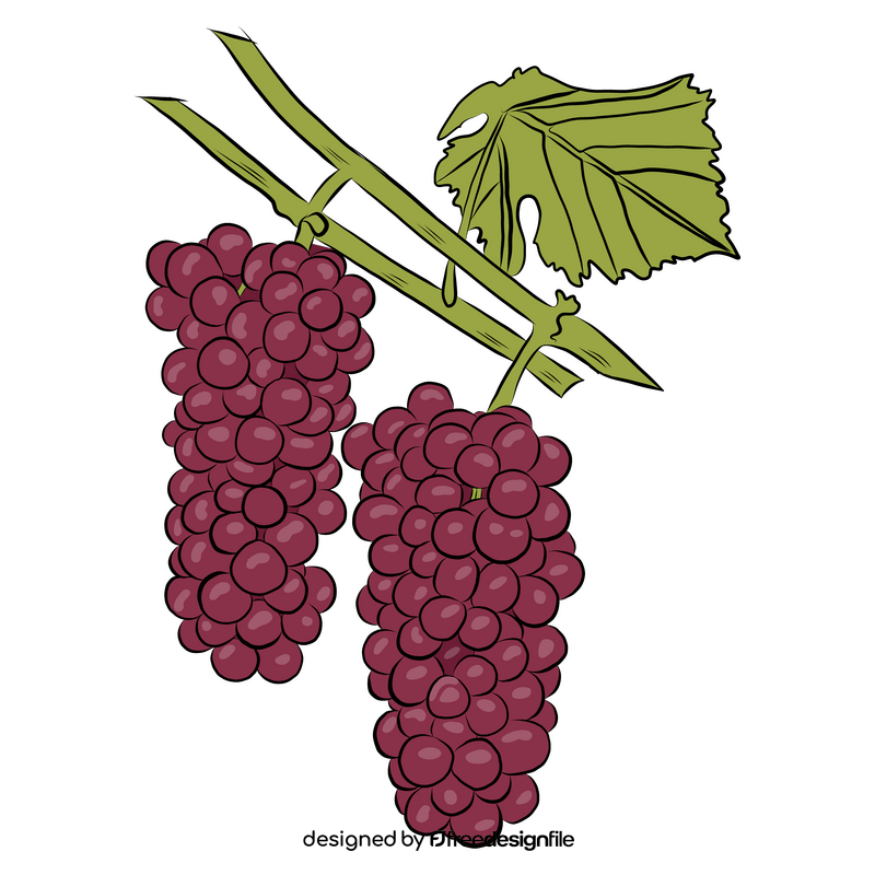 Two Bunches of Red Grapes clipart