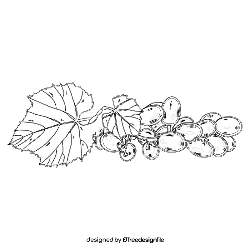 Bunch of Grapes black and white clipart
