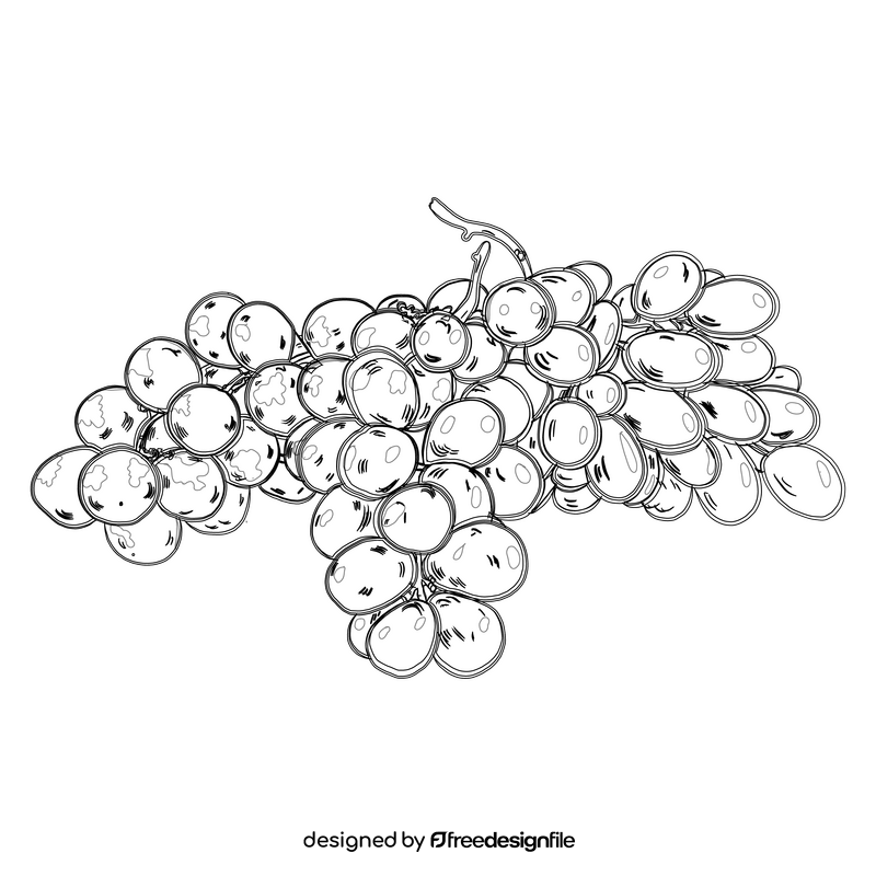 Bunches of Grapes black and white clipart
