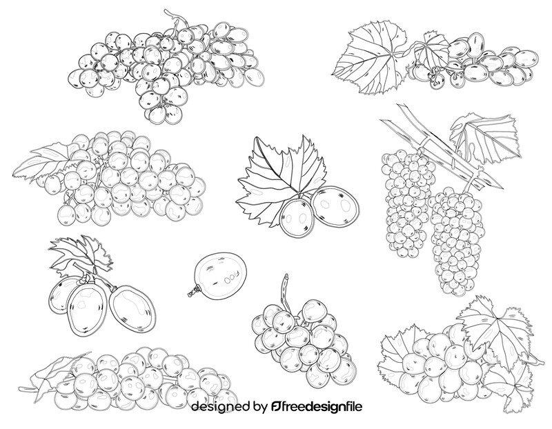 Set of Grapes black and white vector