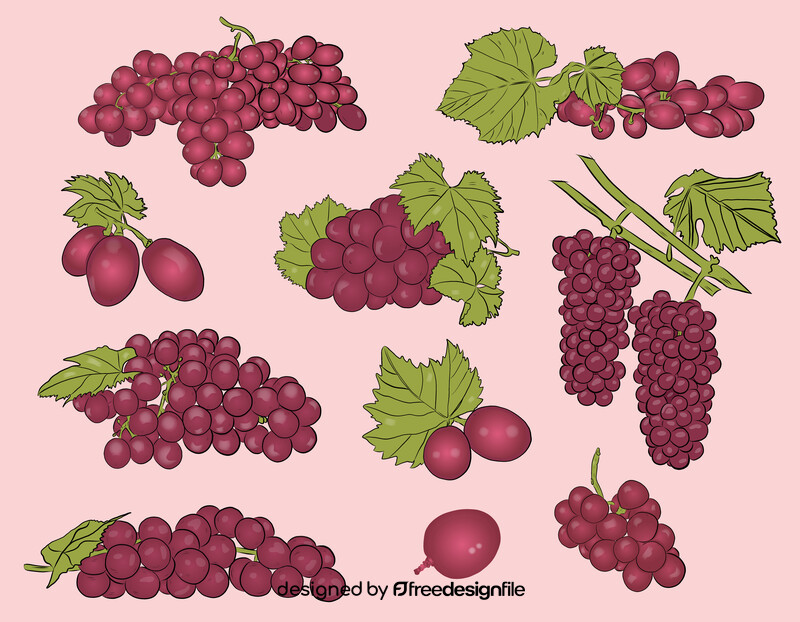 Set of Grapes vector