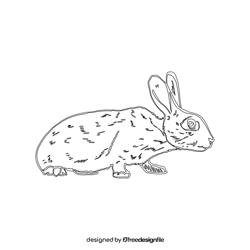 Rabbit black and white clipart