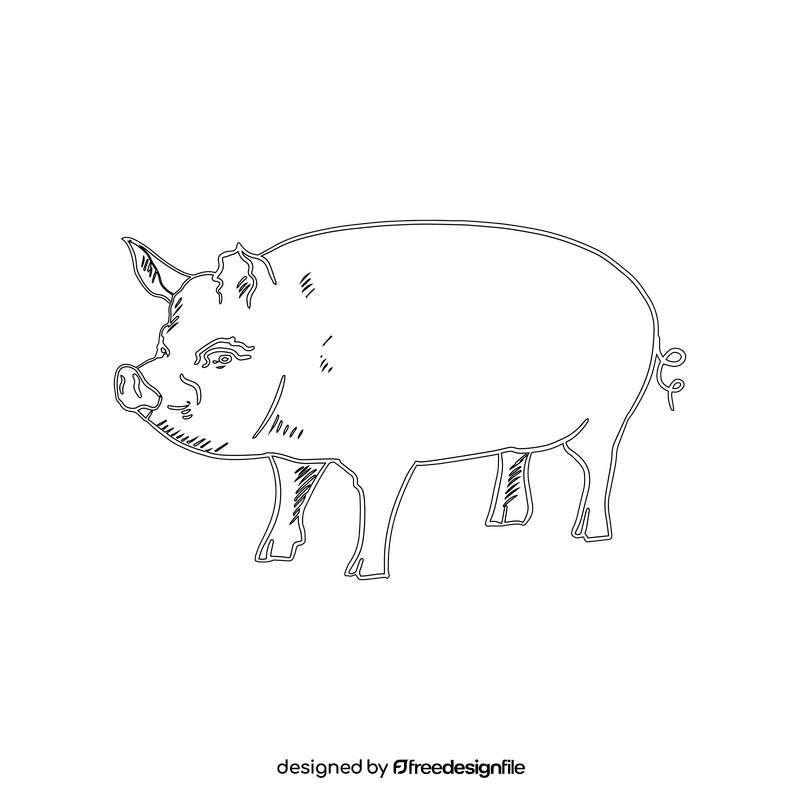 Pig black and white clipart