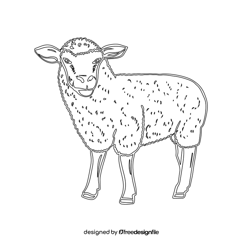 Sheep black and white clipart