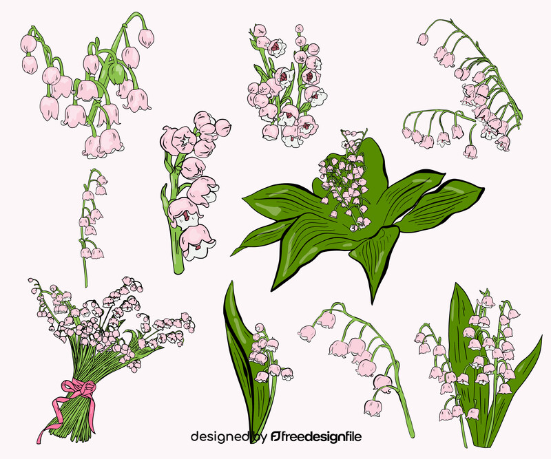 Lily of the Valley vector