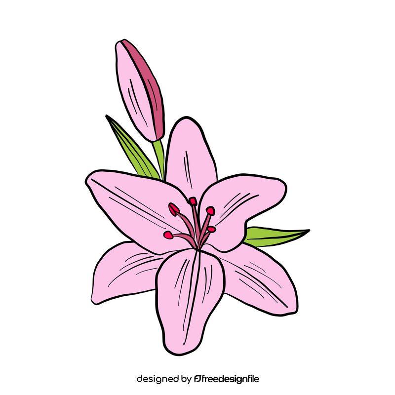 Lily clipart