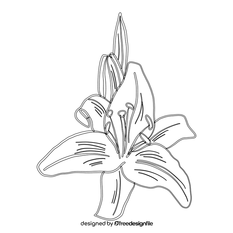 Lily black and white clipart