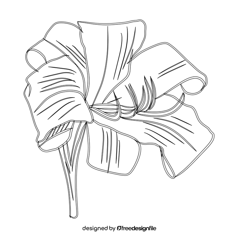 Lily black and white clipart