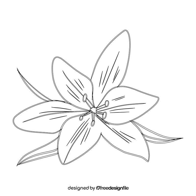 Lily black and white clipart