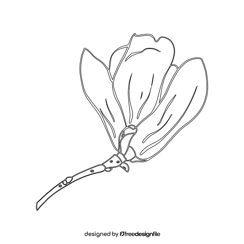 Magnolia black and white clipart