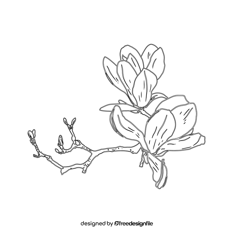 Magnolia black and white clipart