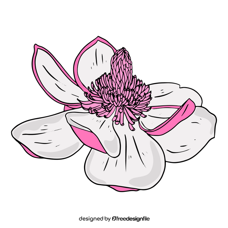 Magnolia clipart