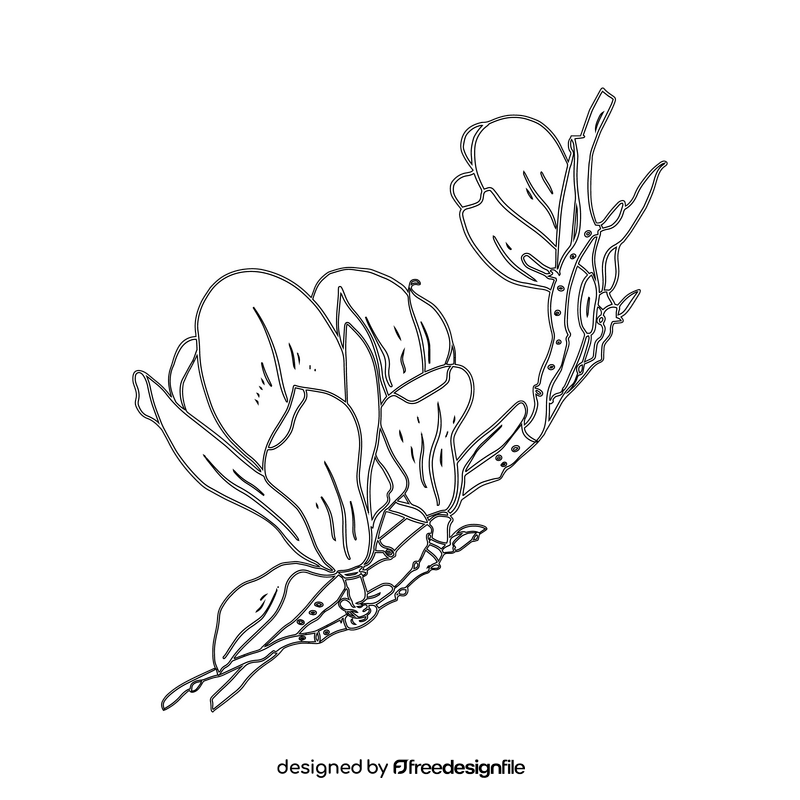 Magnolia black and white clipart