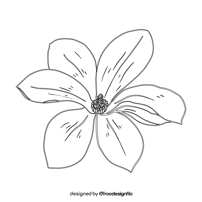 Magnolia black and white clipart