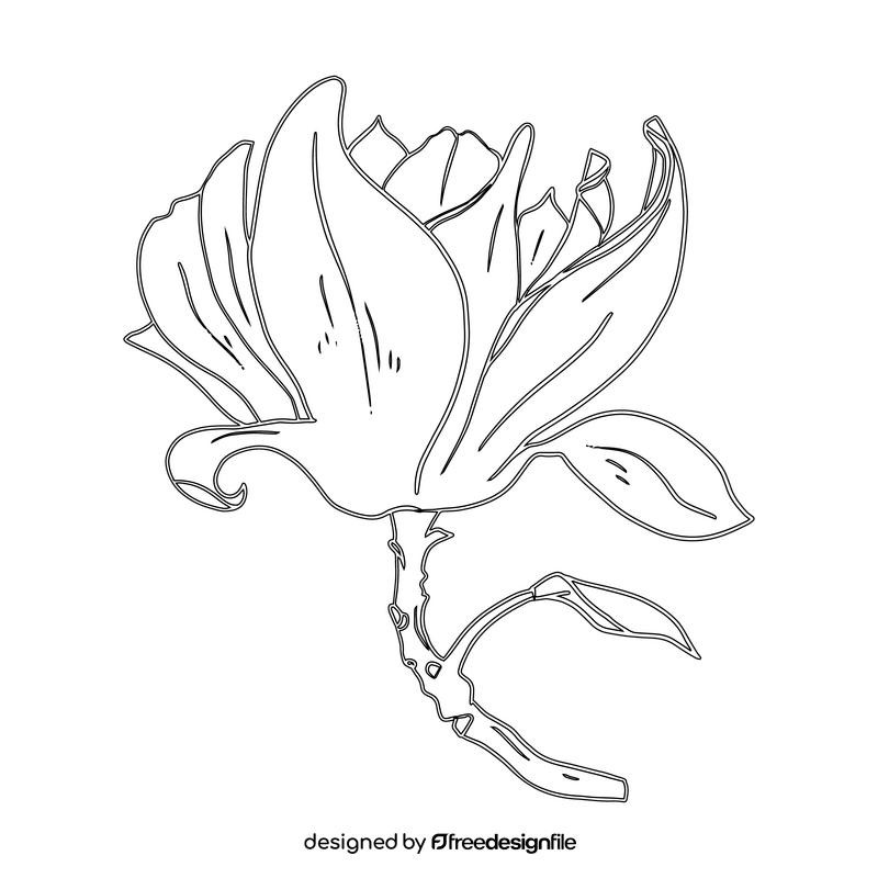 Magnolia black and white clipart vector free download