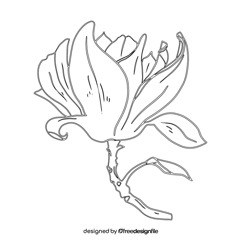 Magnolia black and white clipart