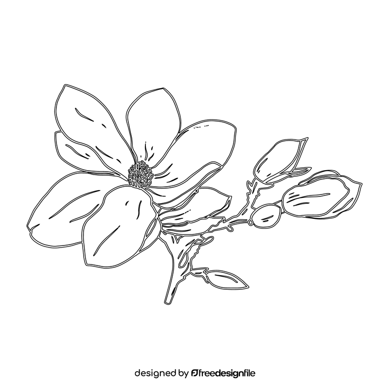 Magnolia black and white clipart