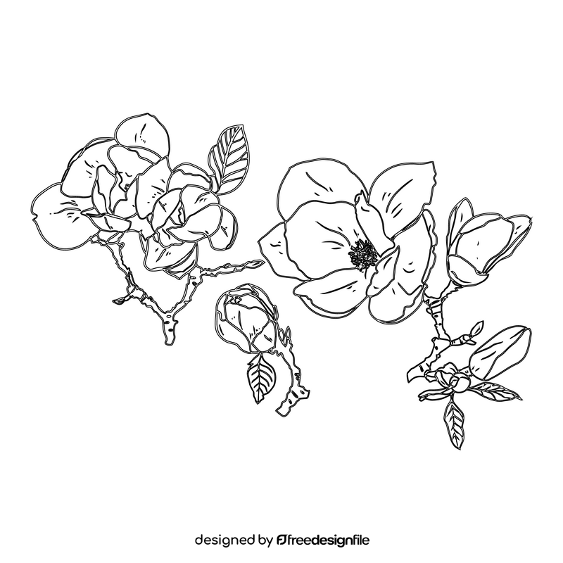 Magnolia black and white clipart