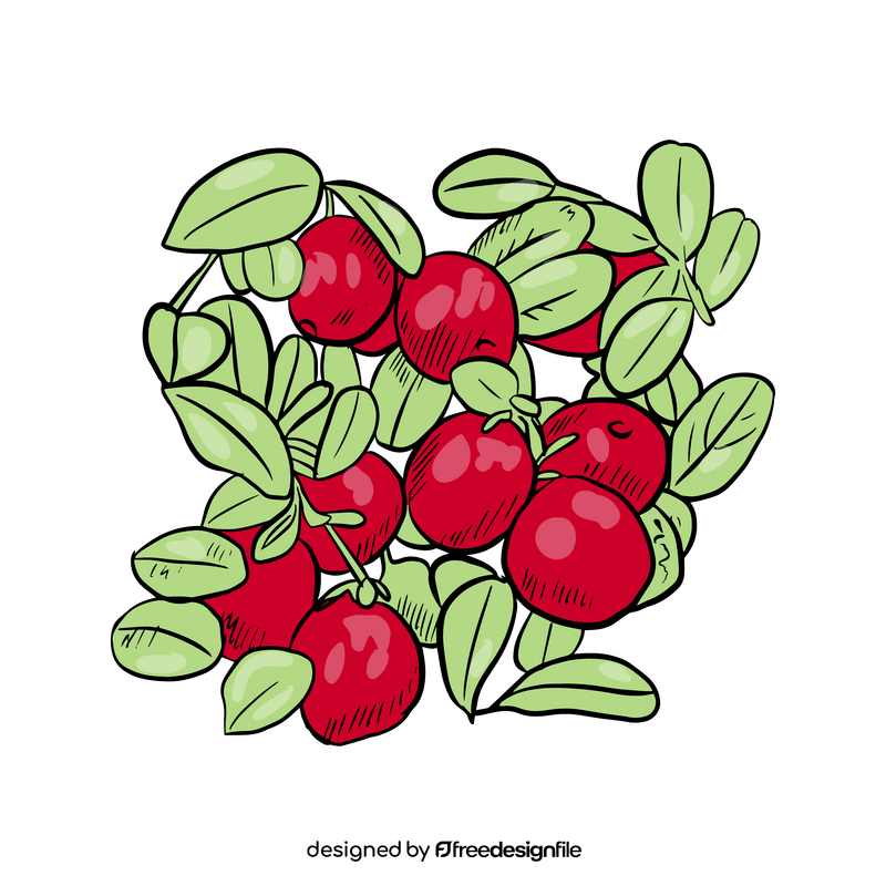 Red Fruits Of Mountain Ash clipart