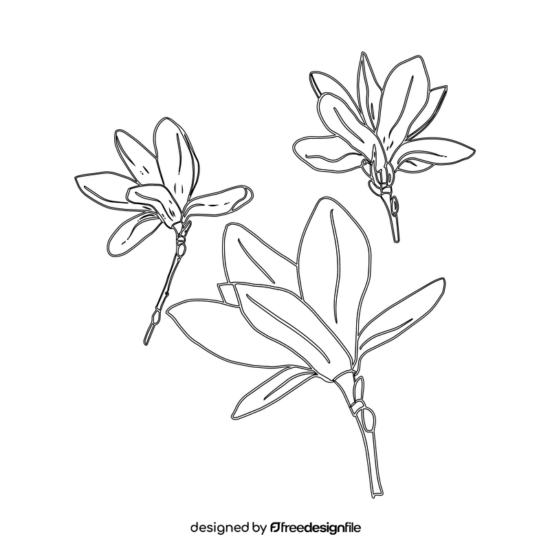 Magnolia black and white clipart