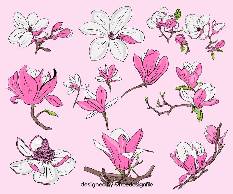 Magnolia vector
