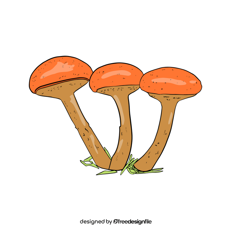 Maslata Mushroom clipart