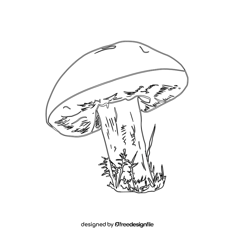 Leccinum black and white clipart