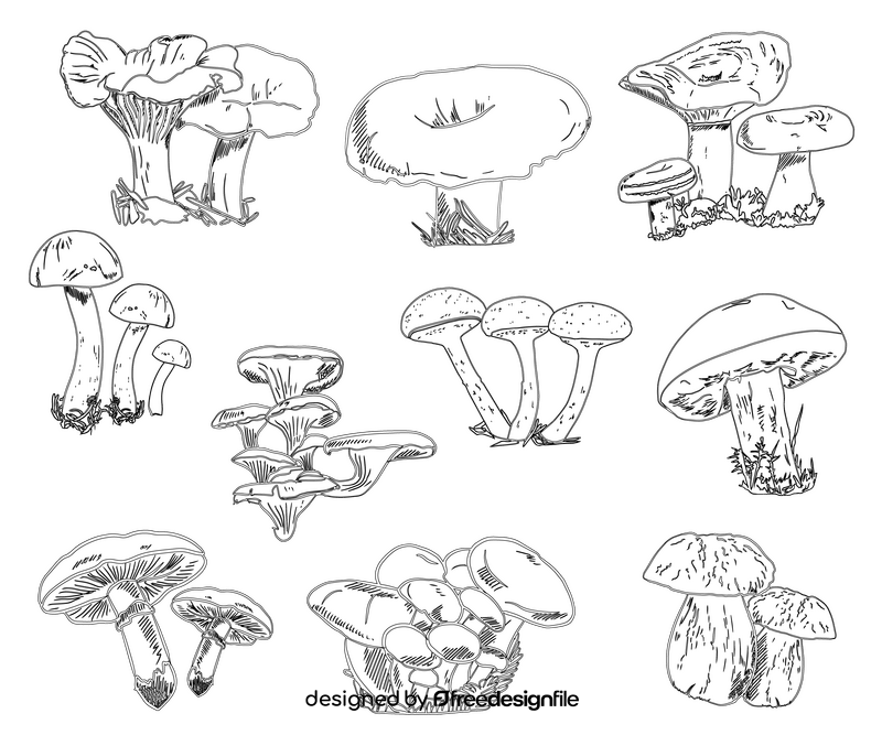 Types of Mushroom black and white vector