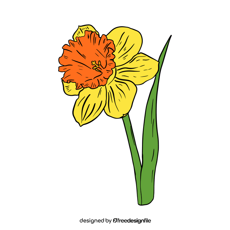 Narcissus clipart vector free download