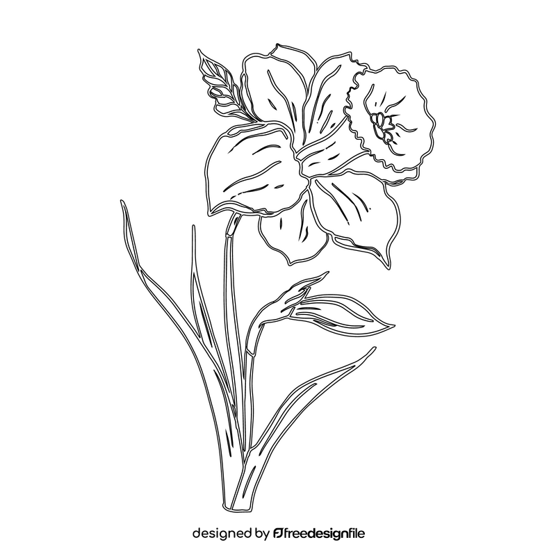 Narcissus black and white clipart