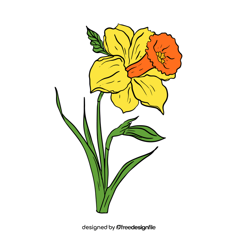Narcissus clipart vector free download