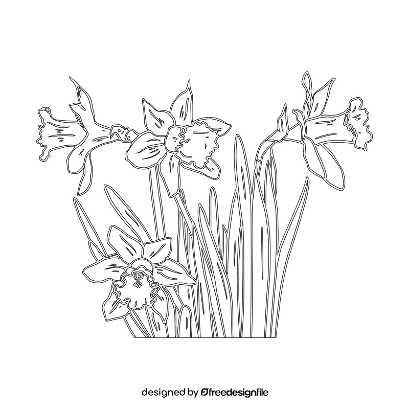 Narcissus black and white clipart