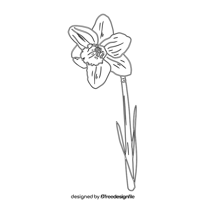 Narcissus black and white clipart