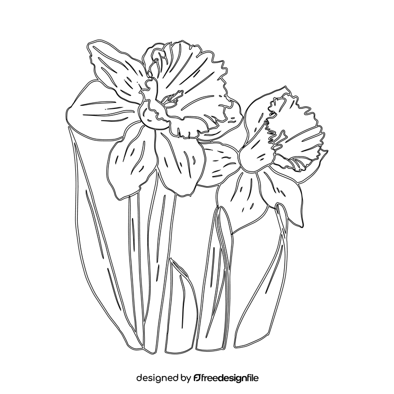 Narcissus black and white clipart