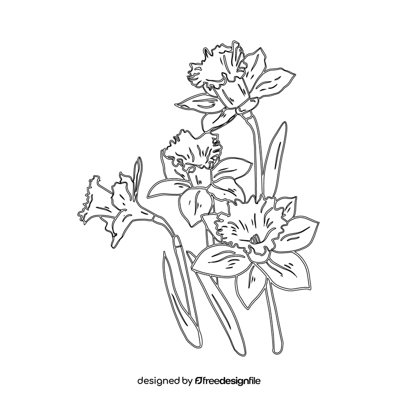 Narcissus black and white clipart