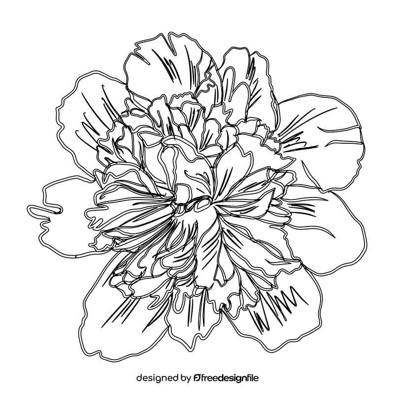 Peony black and white clipart