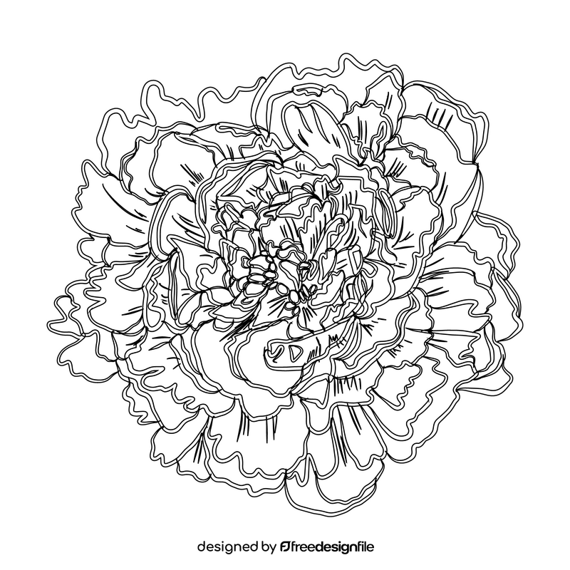 Peony black and white clipart