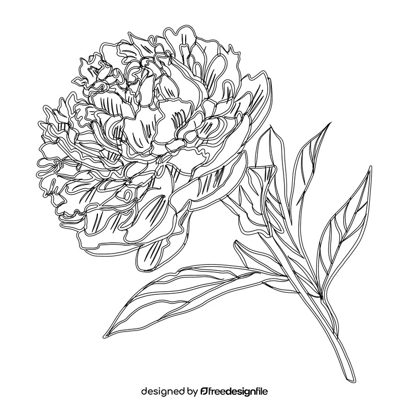 Peony black and white clipart