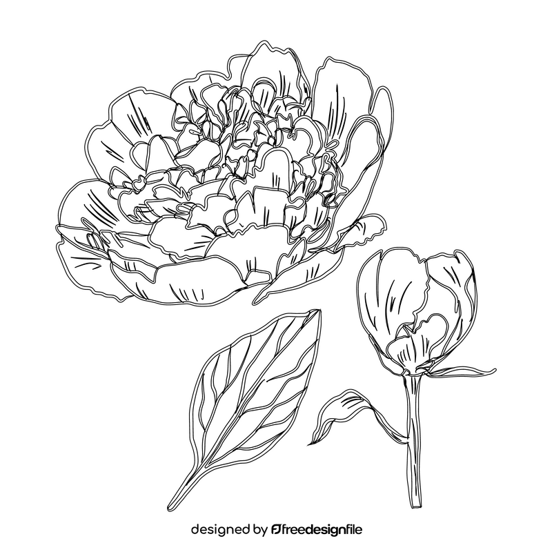 Peony black and white clipart