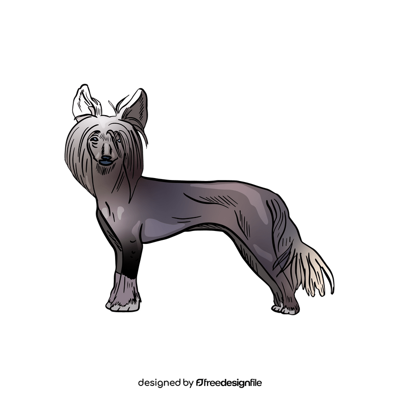 Chinese Crested Dog clipart