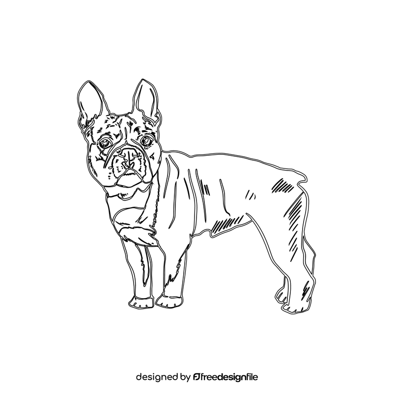 French Bulldog black and white clipart