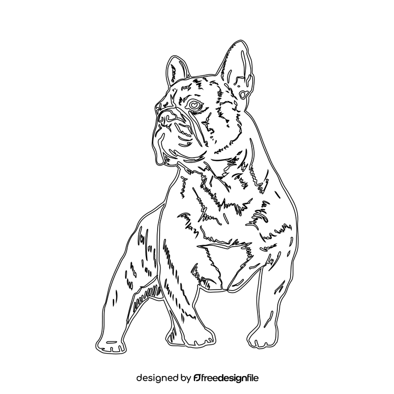 French Bulldog black and white clipart