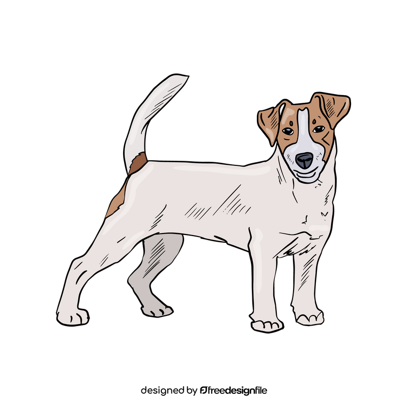 Jack Russell Terrier clipart